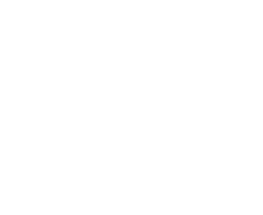 Logo von NETWORX — ein leuchtender, geometrischer Stern